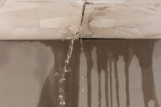 Professional Structural Drying technician working in La Verkin, UT